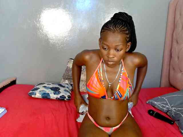 Zenno webcam