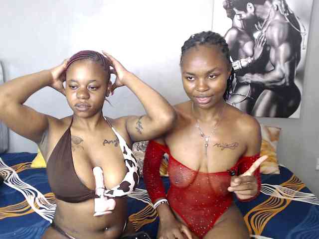 Zenno webcam