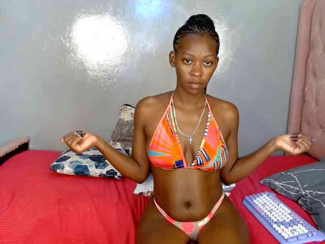 Zenno webcam