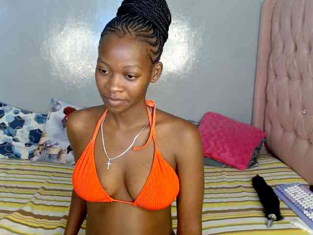 Zenno webcam