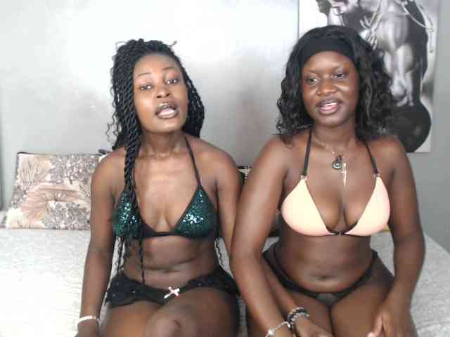 Zenno webcam