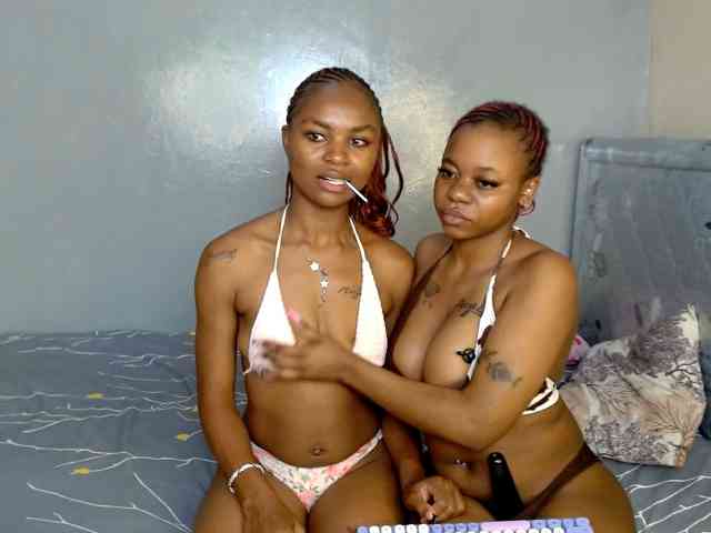 Zenno webcam