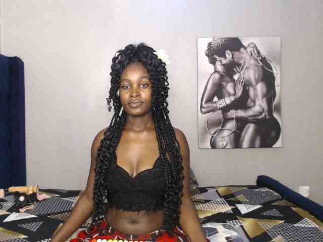 Zenno webcam