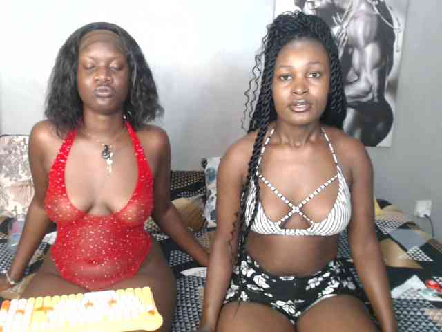 Zenno webcam