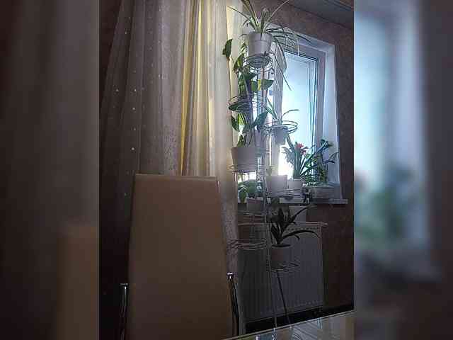 Karina-deva webcam