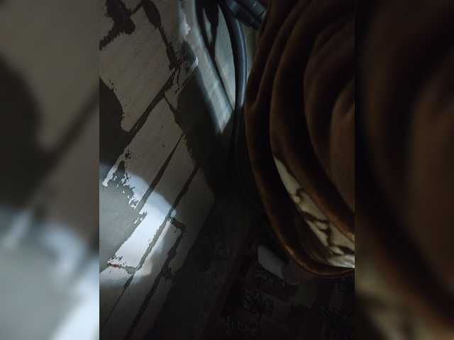 Bingooo12345