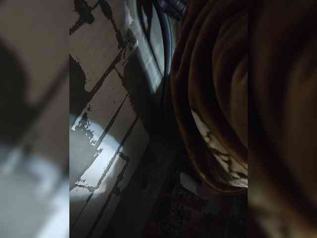 Bingooo12345