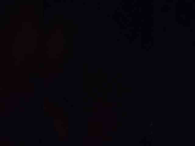 Bingooo12345