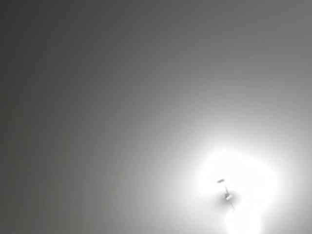 NikaKams webcam
