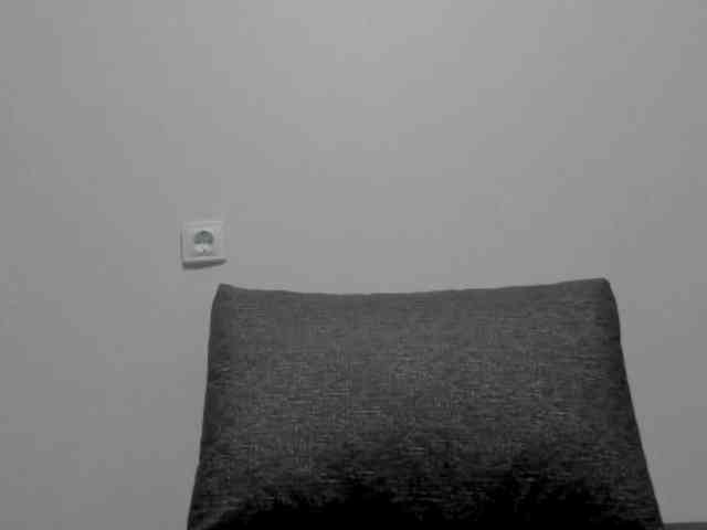 NikaKams webcam