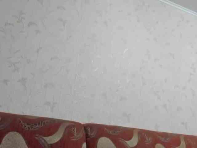 NikaKams webcam