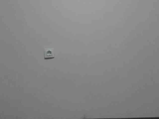 NikaKams webcam