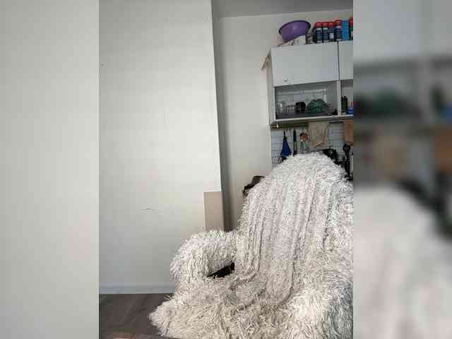 softifocus webcam