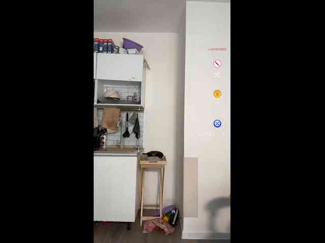 softifocus webcam
