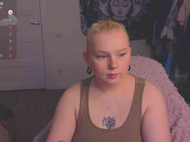 Softifocus's cam show statistics and live stream