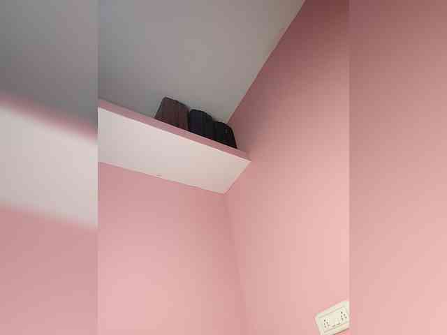 Alexa-90 webcam