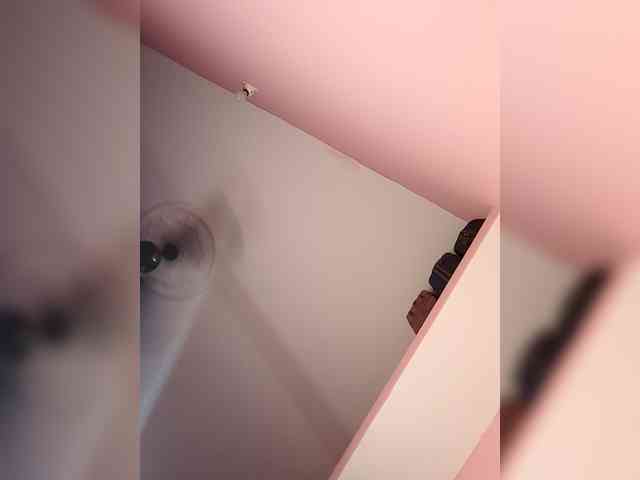 Alexa-90 webcam