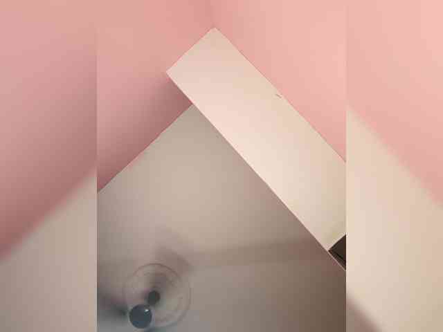 Alexa-90 webcam