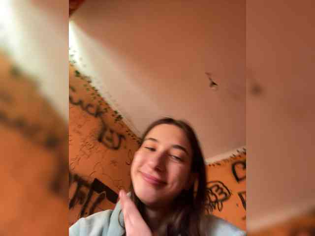Laurie-Corny webcam