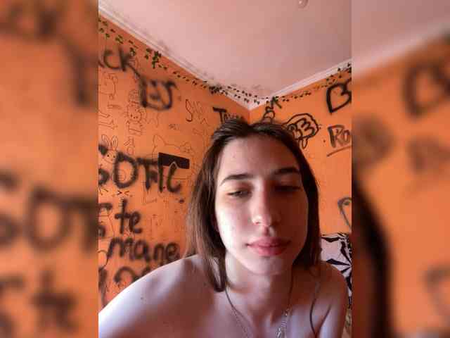 Laurie-Corny webcam