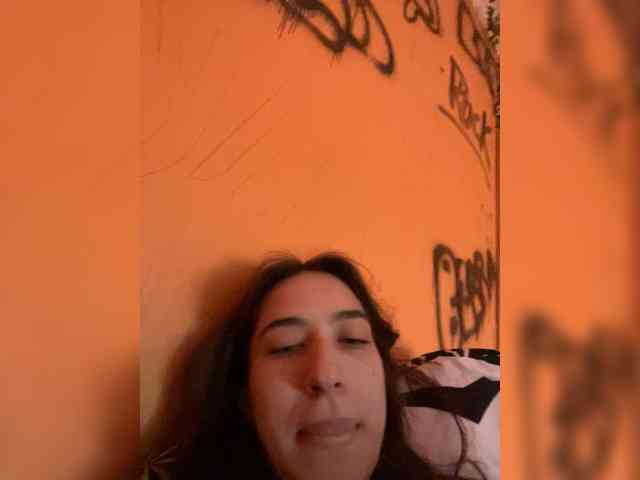 Laurie-Corny webcam