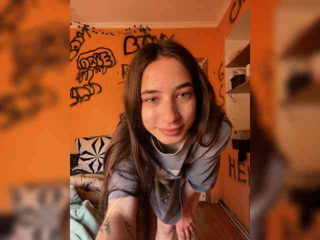 Laurie-Corny webcam