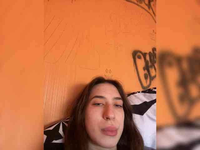 Laurie-Corny webcam