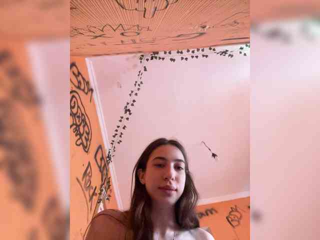 Laurie-Corny webcam