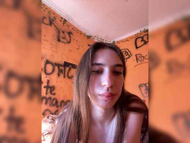 Laurie-Corny webcam