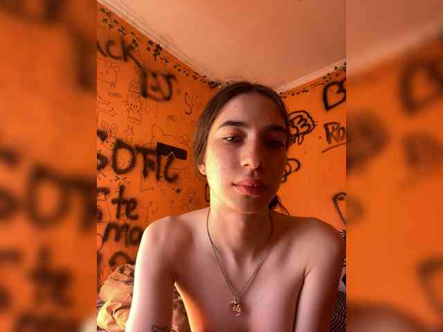 Laurie-Corny webcam