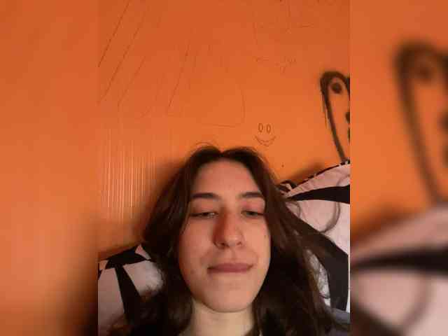 Laurie-Corny webcam