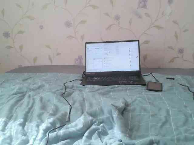 -Vagi- webcam