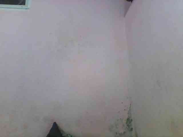 Natacha24