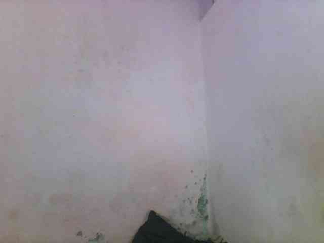 Natacha24