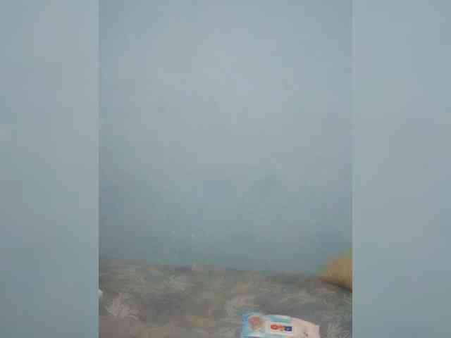Djesikaandboron webcam