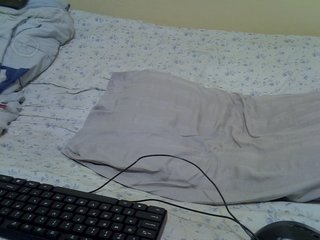 Honeysparklee's Live Webcam