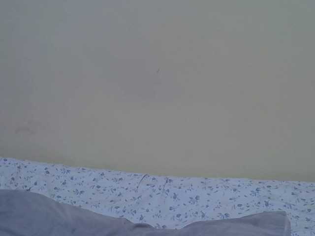 Honeysparklee webcam