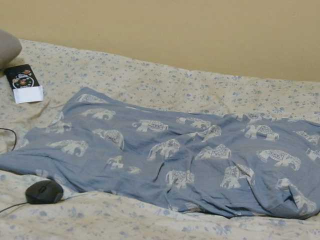 Honeysparklee live cam on BongaCams