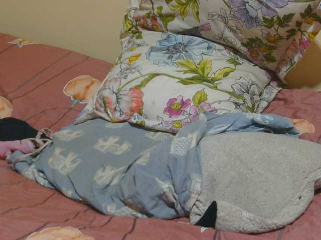 Honeysparklee live cam on BongaCams
