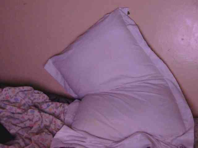 Honeysparklee webcam