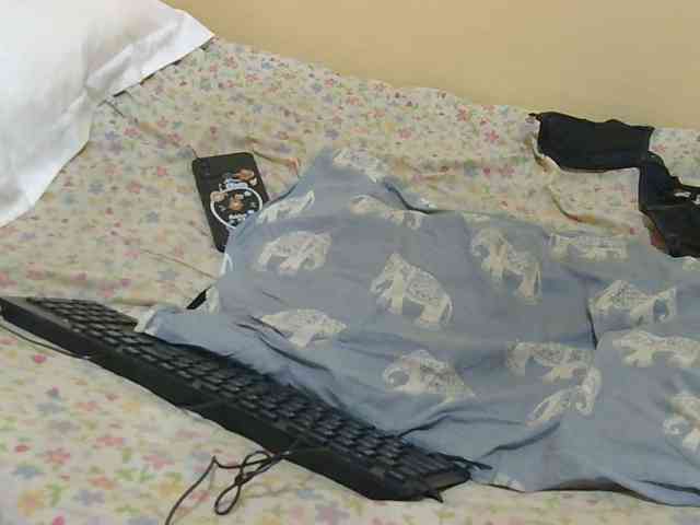 Honeysparklee webcam