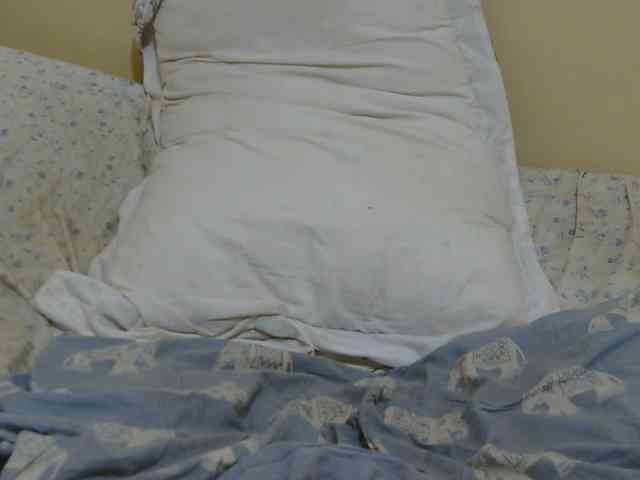 Honeysparklee webcam