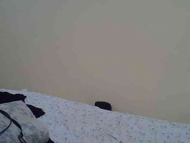 Honeysparklee webcam