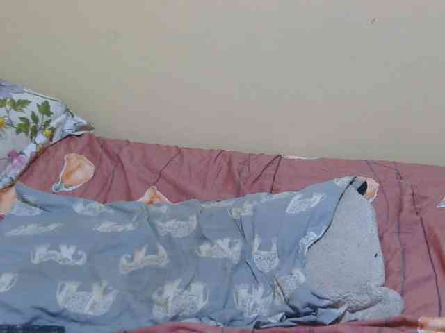 Honeysparklee webcam