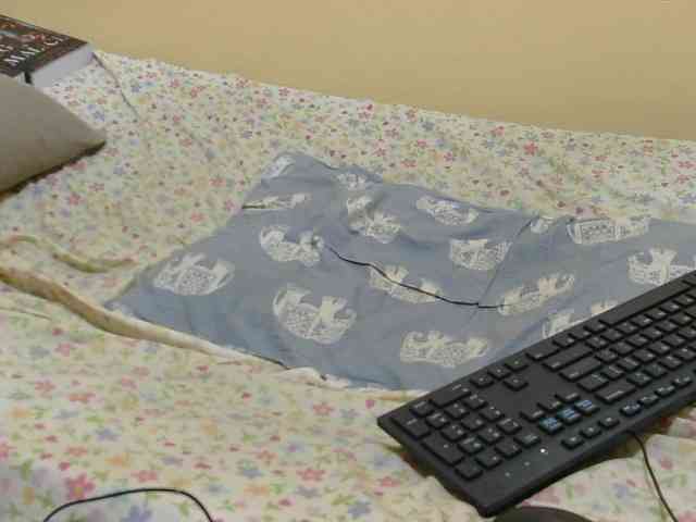 Honeysparklee webcam
