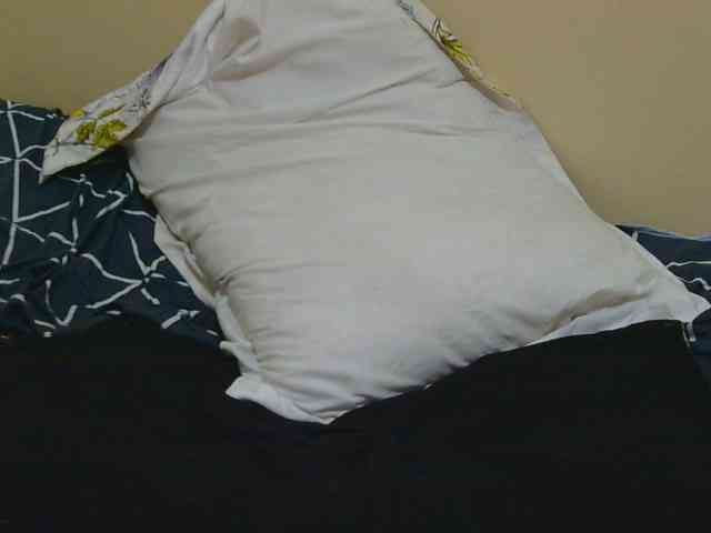 Honeysparklee webcam