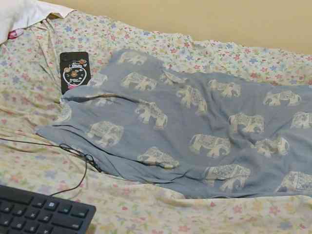 Honeysparklee webcam