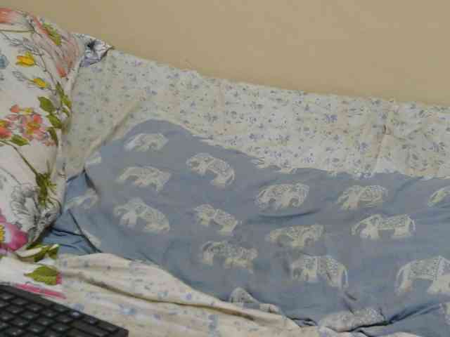 Honeysparklee webcam
