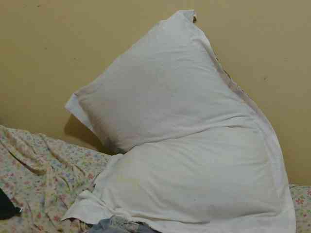 Honeysparklee webcam