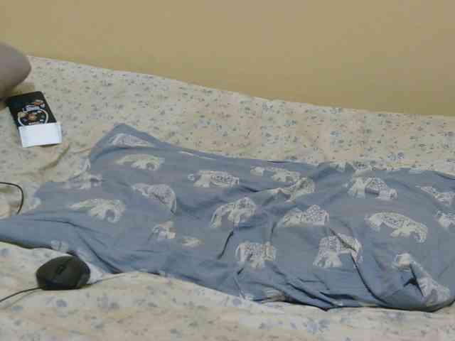 Honeysparklee webcam